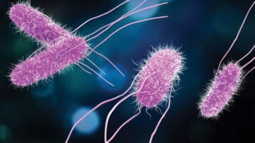 Bariera wodna dla patogenów