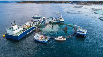 Higiena łodzi do przewozu żywych ryb typu drebel