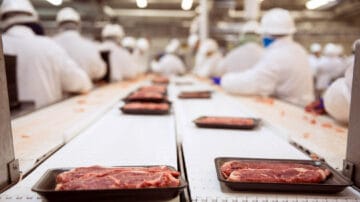 Transportery systemów rozbiorowych mięsa